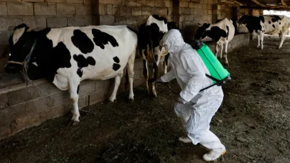 الحمى النزفية: تحذيرات واهتمام متزايد في العراق