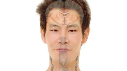 محيط العنق: مؤشر خطر على الصحة العامة وطرق الوقاية