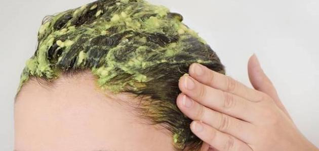 الطريقة المثالية لاستخدام ماسك الشعر: دليل شامل مع أفضل أنواع ماسك الشعر