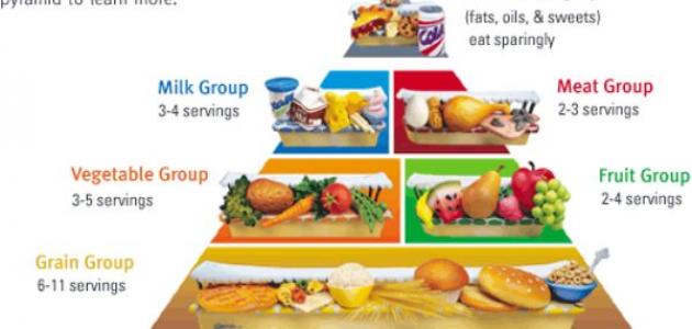 دليل شامل حول رجيم الهرم الغذائي: فوائد ونصائح لخسارة الوزن المستدامة