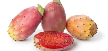 فوائد زيت التين الشوكي للشعر