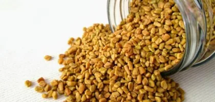 طرق التسمين بالحلبة: الفوائد والاستراتيجيات الفعالة