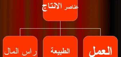 اكتشف العناصر الأساسية للإنتاج ودورها في نجاح الأعمال
