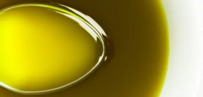 فوائد زيت الزيتون البكر للشعر وكيفية استخدامه