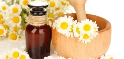 فوائد زيت البابونج للشعر: اكتشف أسرار الجمال الطبيعي