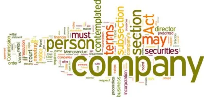 استكشف أهم أنواع الشركات ودورها في الاقتصاد