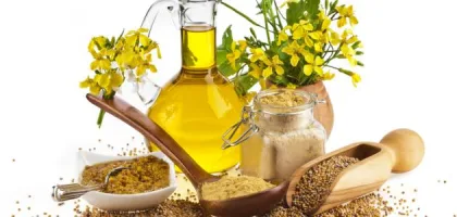 فوائد زيت الحلبة للشعر