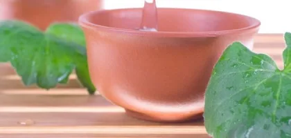 كيف يحول زيت الشاي شعرك إلى تاج من الجمال