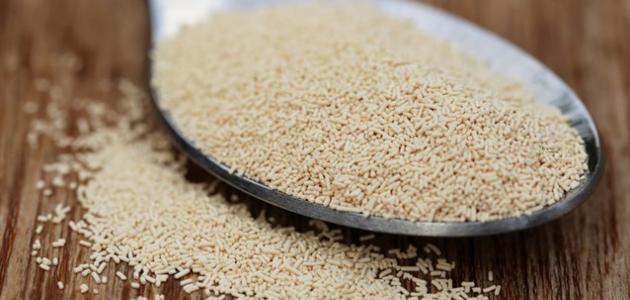 الطريقة المثالية لاستخدام خميرة البيرة لتسمين الوجه: دليل شامل