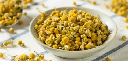 استعمال البابونج وفوائده الصحية