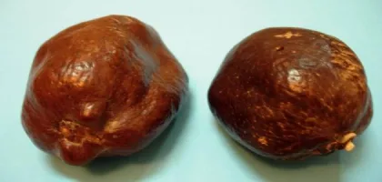 فوائد الدوم وتأثيره على ضغط الدم