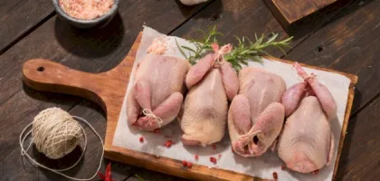 فوائد أكل السمان لصحة الإنسان