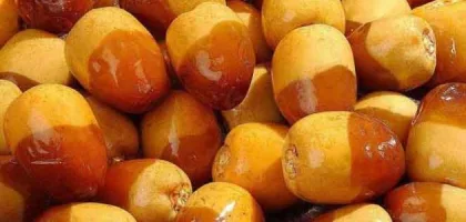 الفرق بين الرطب والتمر: القيمة الغذائية والفوائد