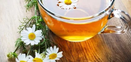 فوائد البابونج للأطفال: حقائق علمية هامة