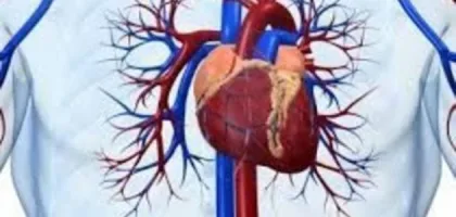كل ما تحتاج معرفته عن علاج مرض القلب وأعراضه