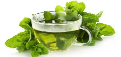 فوائد النعناع المغلي وأثره على الصحة