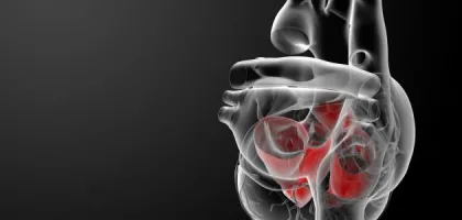 كل ما تود معرفته عن الأبهر وأفضل طرق علاجه