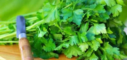 فوائد البقدونس للحامل: دليل شامل