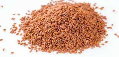 فوائد حب الرشاد الصحية وتأثيرها على الجسم