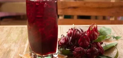 كيف يشرب الكركديه لتخفيض الضغط: الفوائد والأبحاث والدراسات