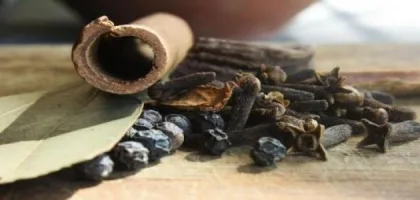 اكتشف الفوائد الرائعة للقسط الهندي للأطفال