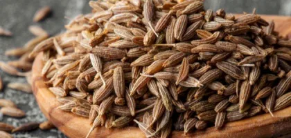 فوائد الكراوية الصحية وأثرها على الجسم