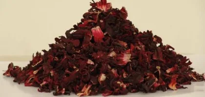 علاج انخفاض ضغط الدم بالغذاء: استراتيجيات فعالة لتحسين صحتك