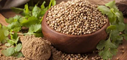 فوائد الكزبرة الجافة الصحية والتغذوية