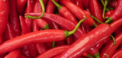 خفايا أضرار الشطة على الحوامل وكيفية تجنبها