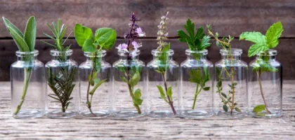 تعزيز الصحة مع الأعشاب الطبيعية القوية