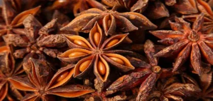 فوائد اليانسون النجمي للصحة العامة