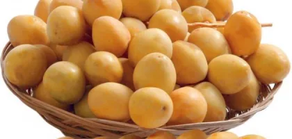 الفوائد الصحية للبلح الأصفر أثناء الحمل