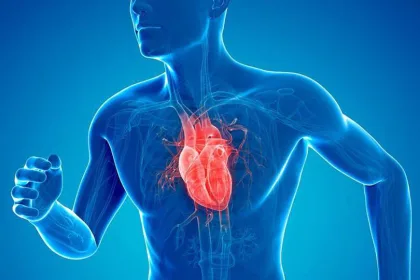 أمراض القلب.. أهم الأعراض وطرق العلاج الحديثة