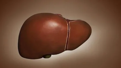 أخطر الأطعمة على الكبد وأفضل طرق دعمه