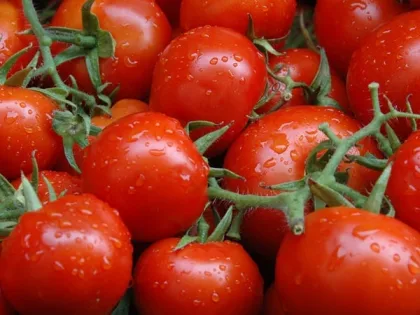 فوائد الطماطم لصحة القلب والخصوبة عند الرجال