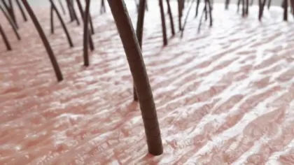 مصل جديد يعيد للشعر الحيوية خلال 20 يوم