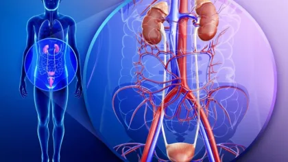 علاجات طبيعية لالتهابات المسالك البولية