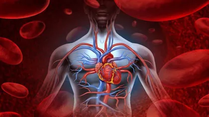 أفضل طرق تنظيف الشرايين من الدهون الضارة