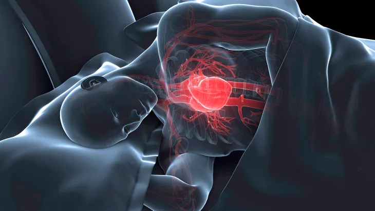 كيف يقوي النوم عضلة القلب ويحمي الأوعية الدموية؟