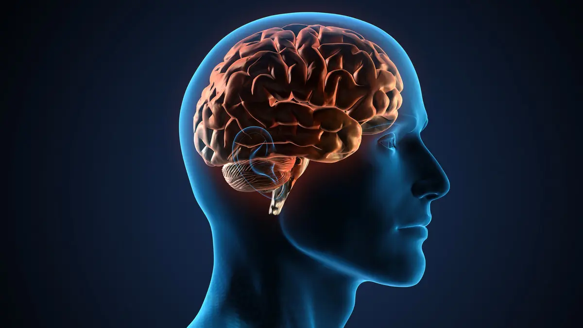 فيتامينات لا يعرفها كثيرون تحافظ على الذاكرة والمزاج