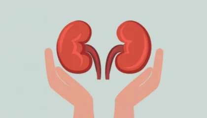 أخطاء تدمر صحة الكلى.. ونصائح للحماية