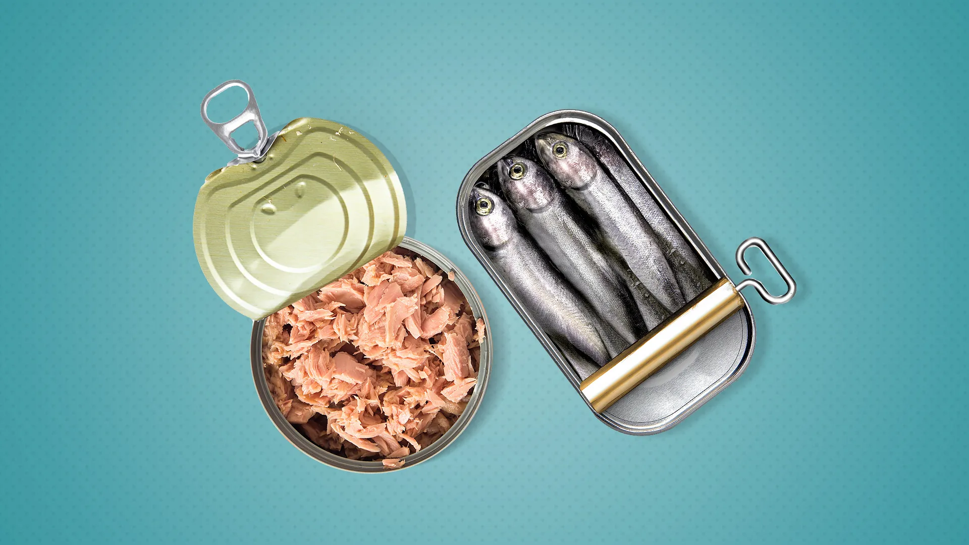 السردين ام التونة.. أيهما مصدر افضل لاوميغا3 والبروتين؟