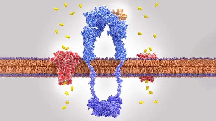 مقاومة الأنسولين وعلاقتها بارتفاع ضغط الدم.. استراتيجيات غذائية وعلاجية متقدمة
